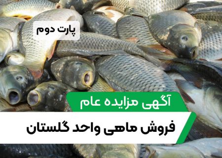 آگهی مزایده عام فروش ماهی واحد گلستان (پارت دوم)