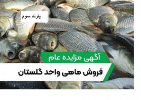آگهی مزایده عام فروش ماهی واحد گلستان (پارت سوم)
